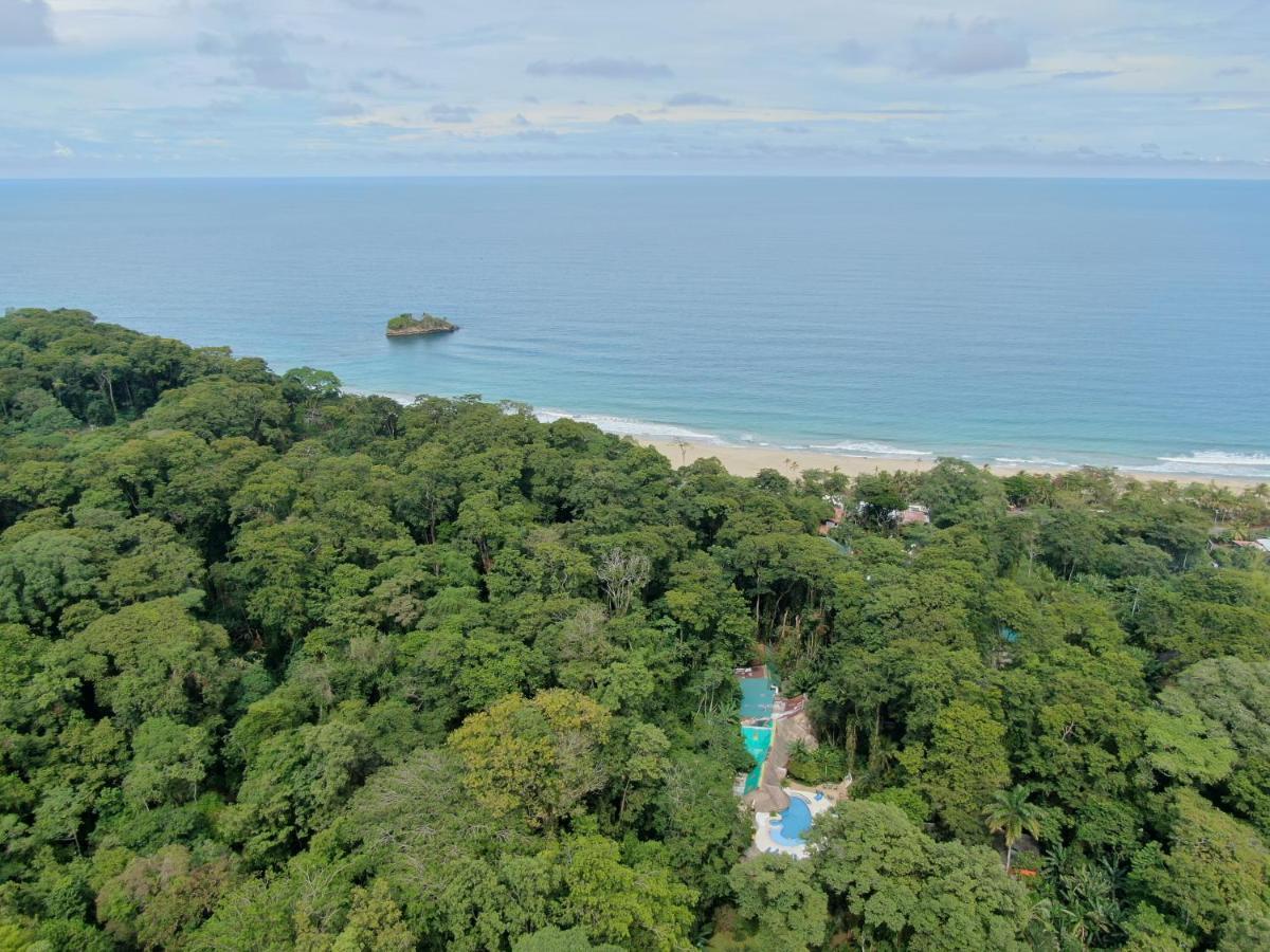 Cariblue Beach And Jungle Resort Puerto Viejo de Talamanca Buitenkant foto